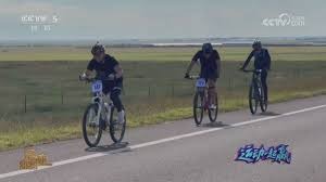 为什么棒球比赛中的计分板会显示球员的赛季平均打击率